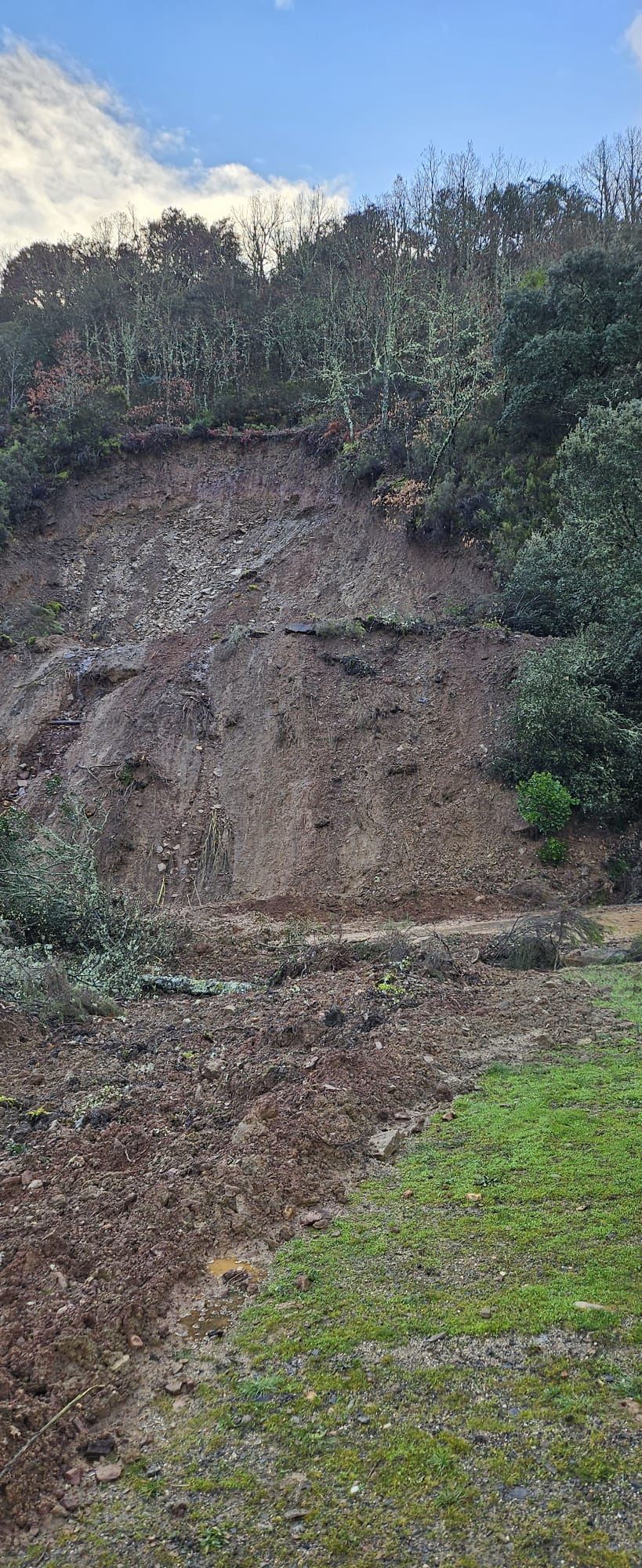 Desprendimiento en Bárcena de la Abadía (3)