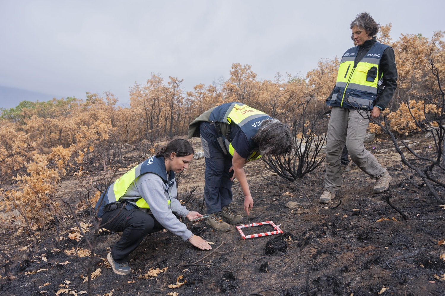 El CSIC documenta los daños ambientales y geológicos clave para recuperación postincendio de Las Médulas | Foto: CSIC El CSIC documenta los daños ambientales y geológicos clave para recuperación postincendio de Las Médulas | Foto: CSIC