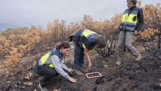 El CSIC documenta los daños ambientales y geológicos clave para recuperación postincendio de Las Médulas | Foto: CSIC