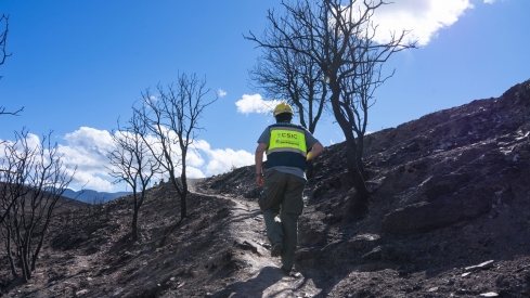 El CSIC documenta los daños ambientales y geológicos clave para recuperación postincendio de Las Médulas (7) El CSIC documenta los daños ambientales y geológicos clave para recuperación postincendio de Las Médulas (7)