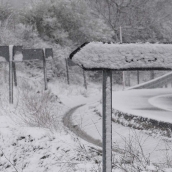 César Sánchez  ICAL. Nieve en la localidad de El Castro, limítrofe con Galicia (6)
