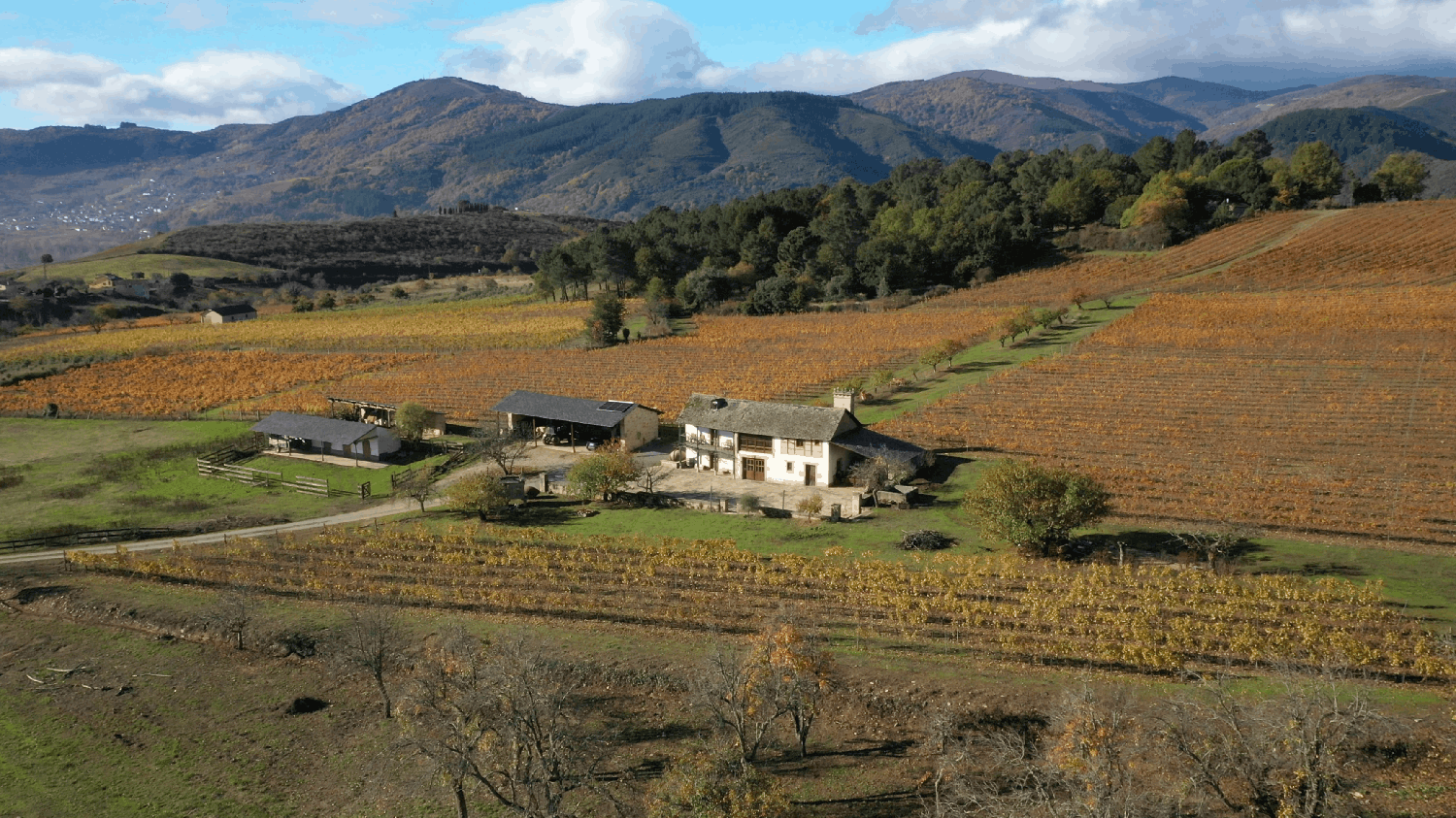 La Finca Valdetruchas Bodegas Luna Beberide