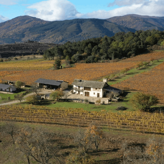 La Finca Valdetruchas Bodegas Luna Beberide La Finca Valdetruchas Bodegas Luna Beberide