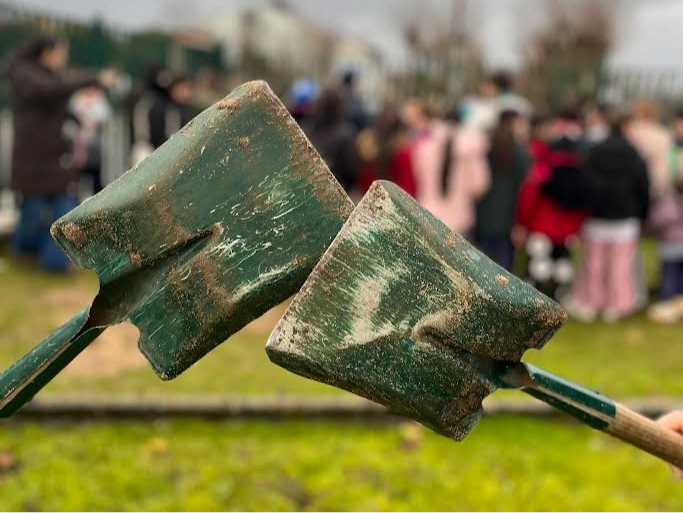 Palas utilizadas para enterrar la caja del tiempo Palas utilizadas para enterrar la caja del tiempo