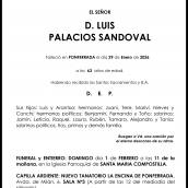 LUIS PALACIOS SANDOVAL