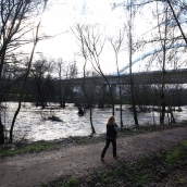 César Sánchez ICAL. Archivo crecida del caudal del río Sil a su paso por Ponferrada