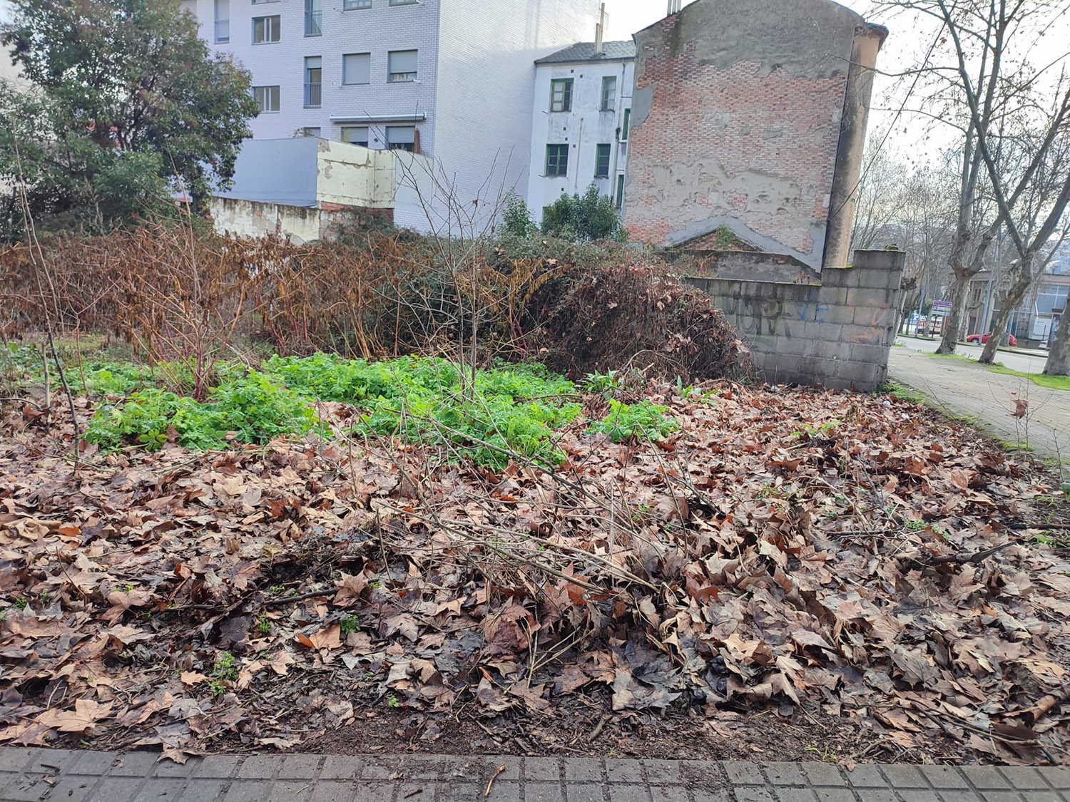 Solar en Huertas del Sacramento.
