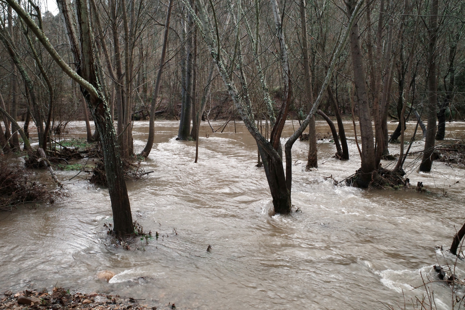 César Sánchez / ICAL. Aumento del caudal de los ríos Sil y Boeza a su paso por Ponferrada
