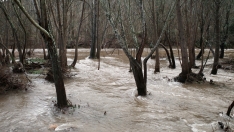 César Sánchez / ICAL. Aumento del caudal de los ríos Sil y Boeza a su paso por Ponferrada