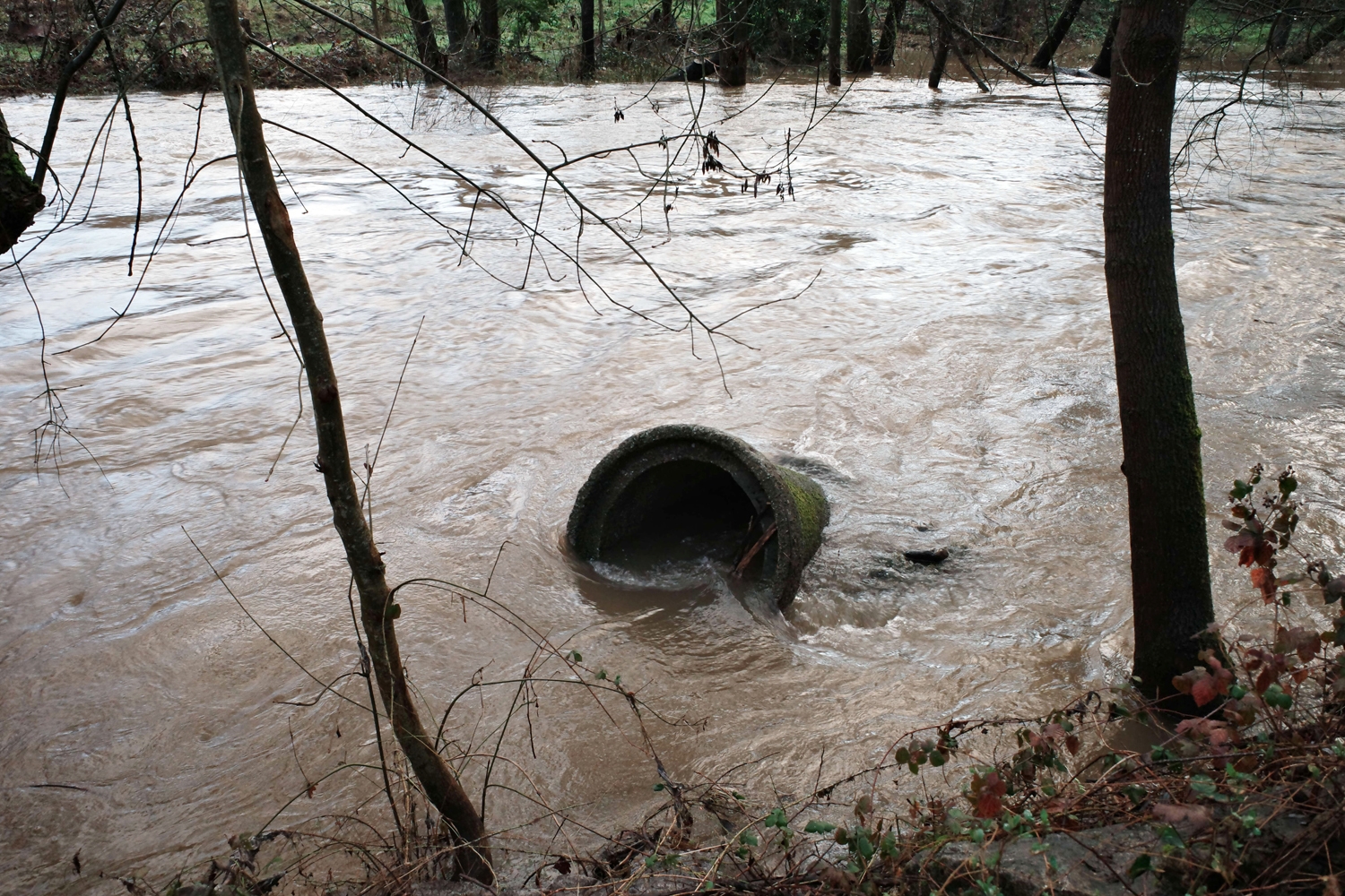 César Sánchez / ICAL. Aumento del caudal de los ríos Sil y Boeza a su paso por Ponferrada