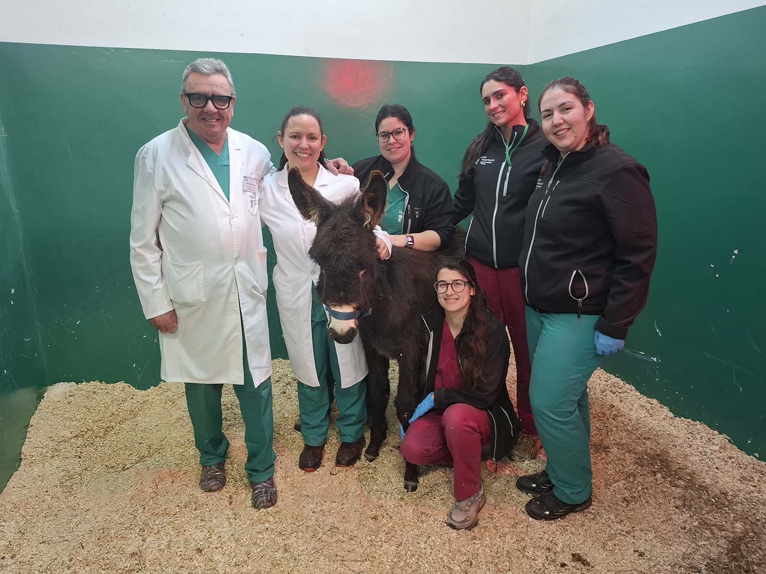 IntervenciónPablete del Equipo Hospital Veterinario ULE