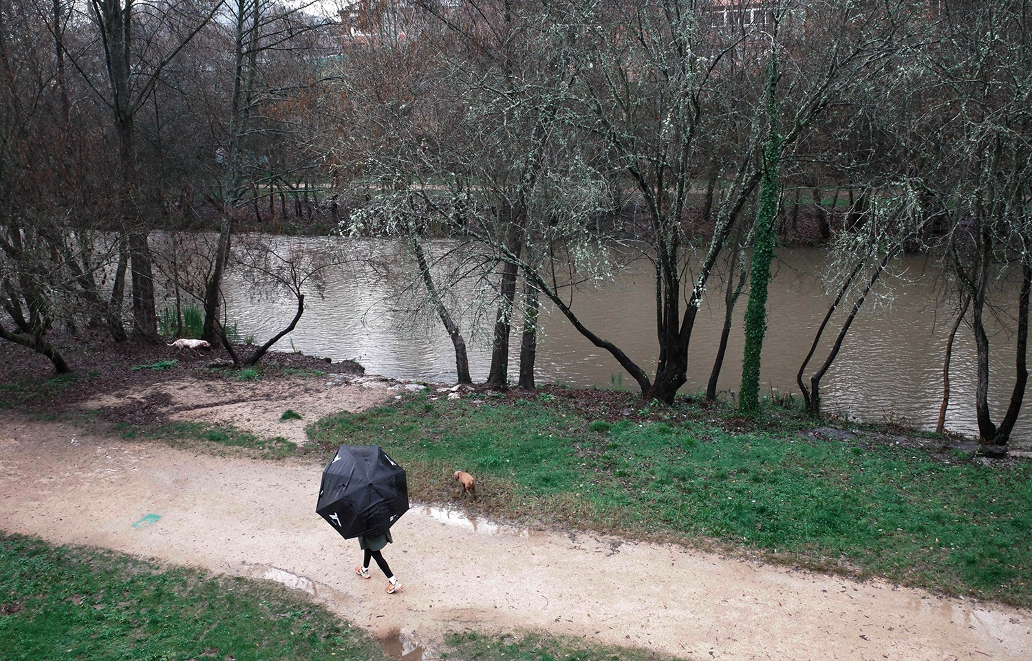 César Sánchez / ICAL. Día de intensa lluvia en Ponferrada