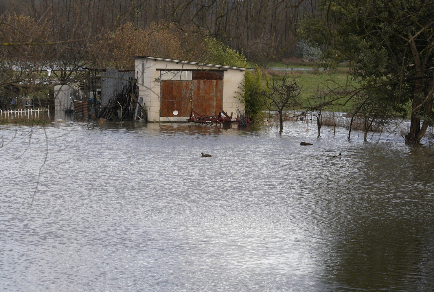 Campos inundados en Camponaraya debido a las intensas lluvias | Foto: César Sánchez, ICAL (1)