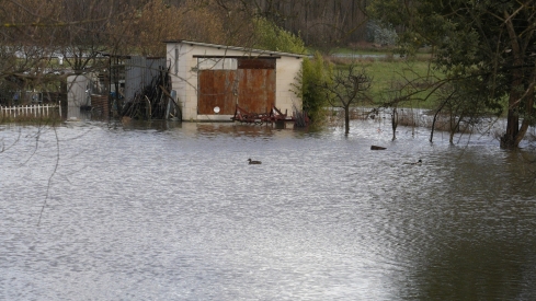 Campos inundados en Camponaraya debido a las intensas lluvias | Foto: César Sánchez, ICAL (1)