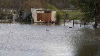 Campos inundados en Camponaraya debido a las intensas lluvias | Foto: César Sánchez, ICAL (1)