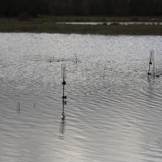 Campos inundados en Camponaraya debido a las intensas lluvias | Foto: César Sánchez, ICAL (3)