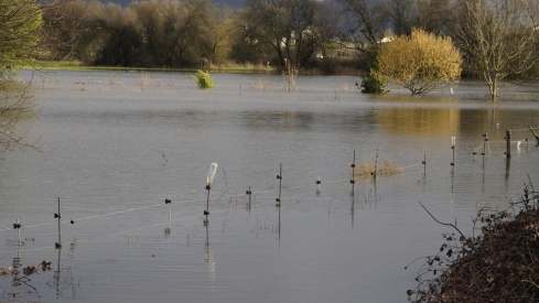 Campos inundados en Camponaraya debido a las intensas lluvias | Foto: César Sánchez, ICAL (4)