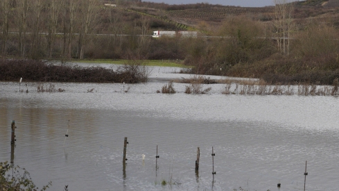 Campos inundados en Camponaraya debido a las intensas lluvias | Foto: César Sánchez, ICAL (7)