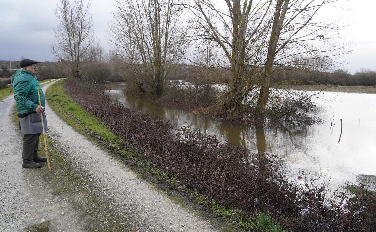 Campos inundados en Camponaraya debido a las intensas lluvias | Foto: César Sánchez, ICAL (9)