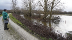 Campos inundados en Camponaraya debido a las intensas lluvias | Foto: César Sánchez, ICAL (9)