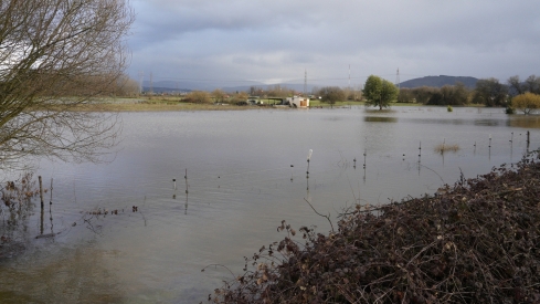 Campos inundados en Camponaraya debido a las intensas lluvias | Foto: César Sánchez, ICAL (10)