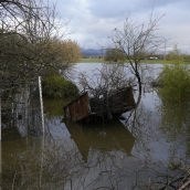 Campos inundados en Camponaraya debido a las intensas lluvias | Foto: César Sánchez, ICAL (11)