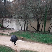 Rio Sil a su paso por Ponferrada