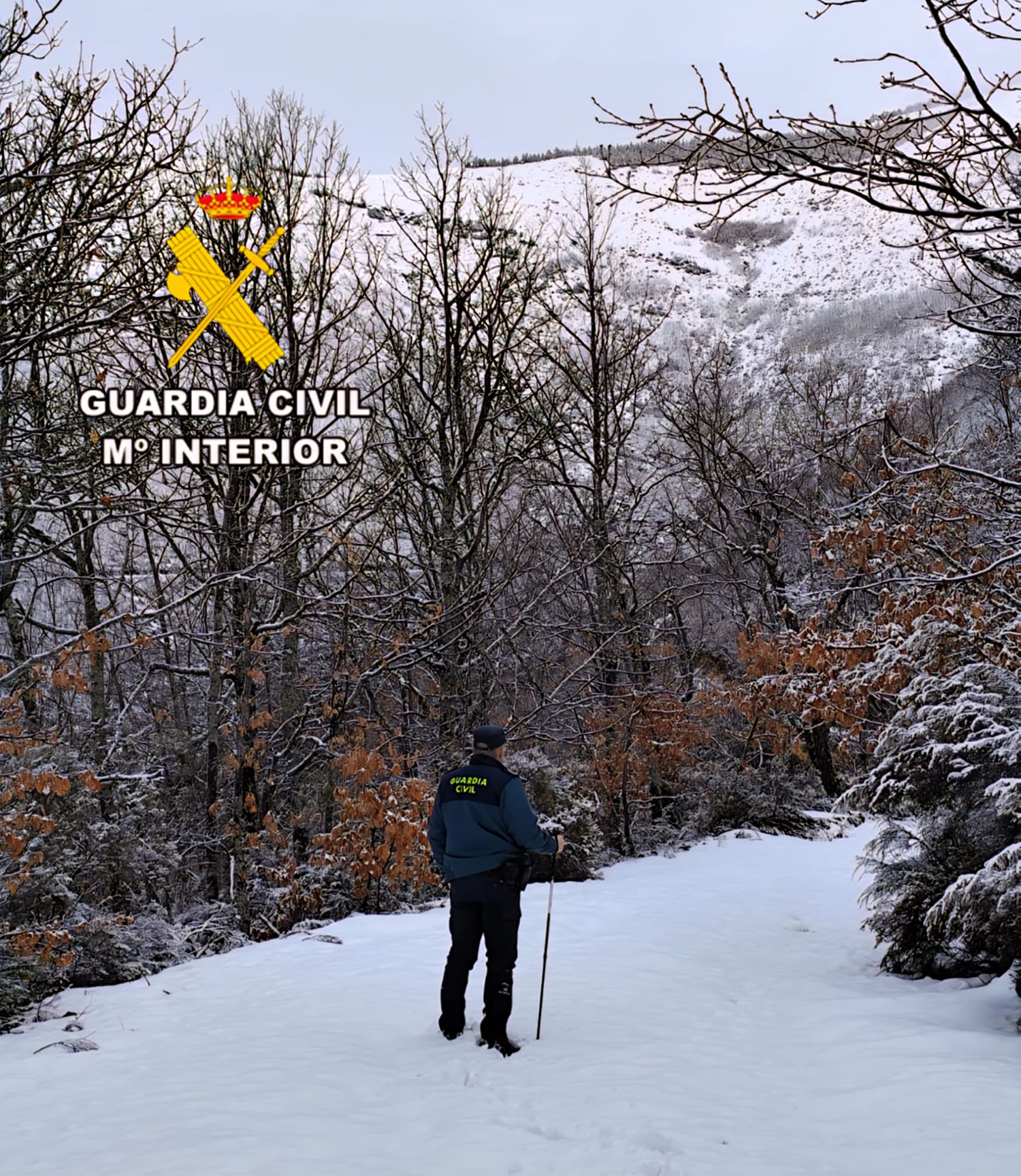 Búsqueda del octogenario desaparecido en Noceda del Bierzo