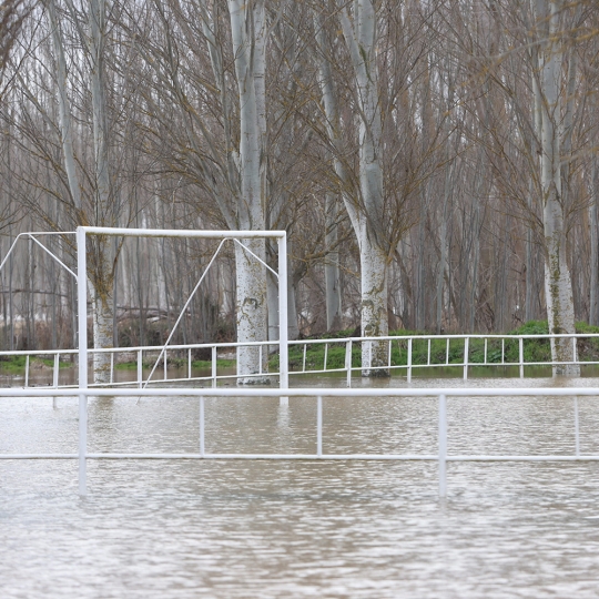 JL Leal / ICAL . Crecida del Río Orbigo a su paso por Villabrazaro