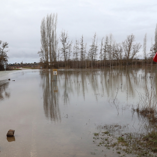 Carretera cortada por el desbordamiento del río Carrión entre Perales y Manquillos (Palencia) | Foto: Brágimo, ICAL 