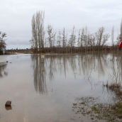 Carretera cortada por el desbordamiento del río Carrión entre Perales y Manquillos (Palencia) | Foto: Brágimo, ICAL 