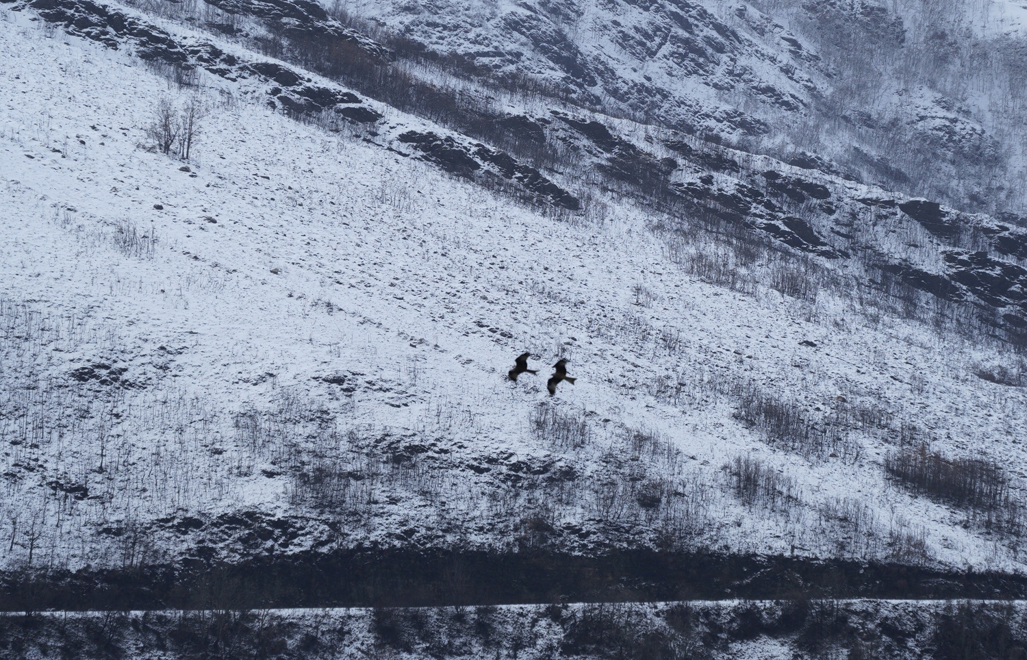 César Sánchez / ICAL. Nieve en la localidad de San Cristóbal de Valdueza 