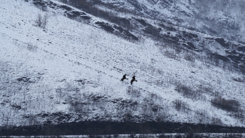 César Sánchez / ICAL. Nieve en la localidad de San Cristóbal de Valdueza 