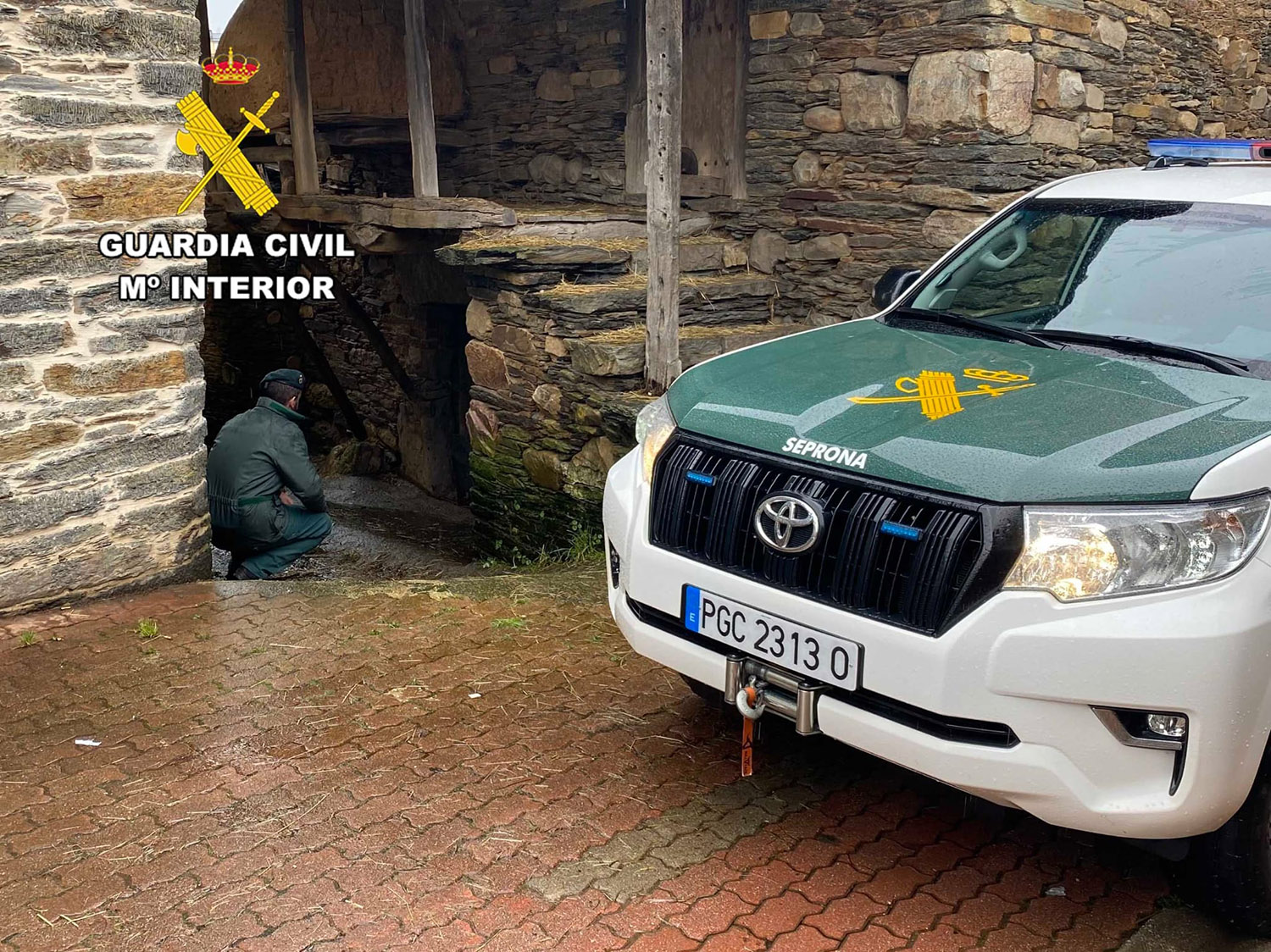 Investigada una mujer en Páramo del Sil por envenenar gatos con insecticida