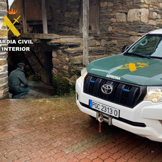 Investigada una mujer en Páramo del Sil por envenenar gatos con insecticida