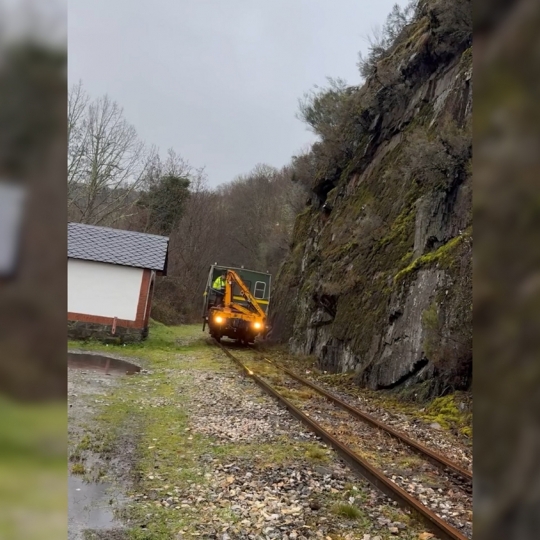 Prueba del Ponfeblino (2) 