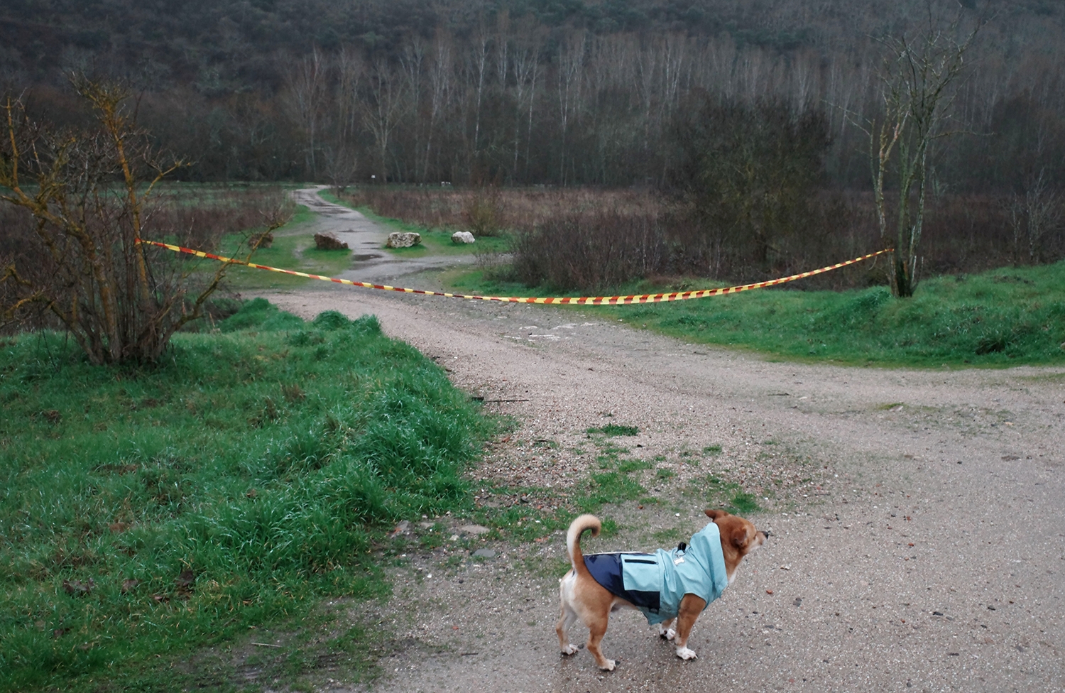 César Sánchez / ICAL . Accesos cerrados al paseo del río Sil a su paso por Ponferrada debido al aumento del cauce por el temporal de lluvias
