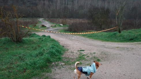César Sánchez / ICAL . Accesos cerrados al paseo del río Sil a su paso por Ponferrada debido al aumento del cauce por el temporal de lluvias