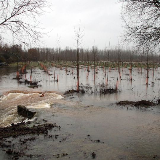 La crecida del río Tuerto en la comarca de la Cepeda (León) | Peio García / ICAL La crecida del río Tuerto en la comarca de la Cepeda (León) | Peio García / ICAL