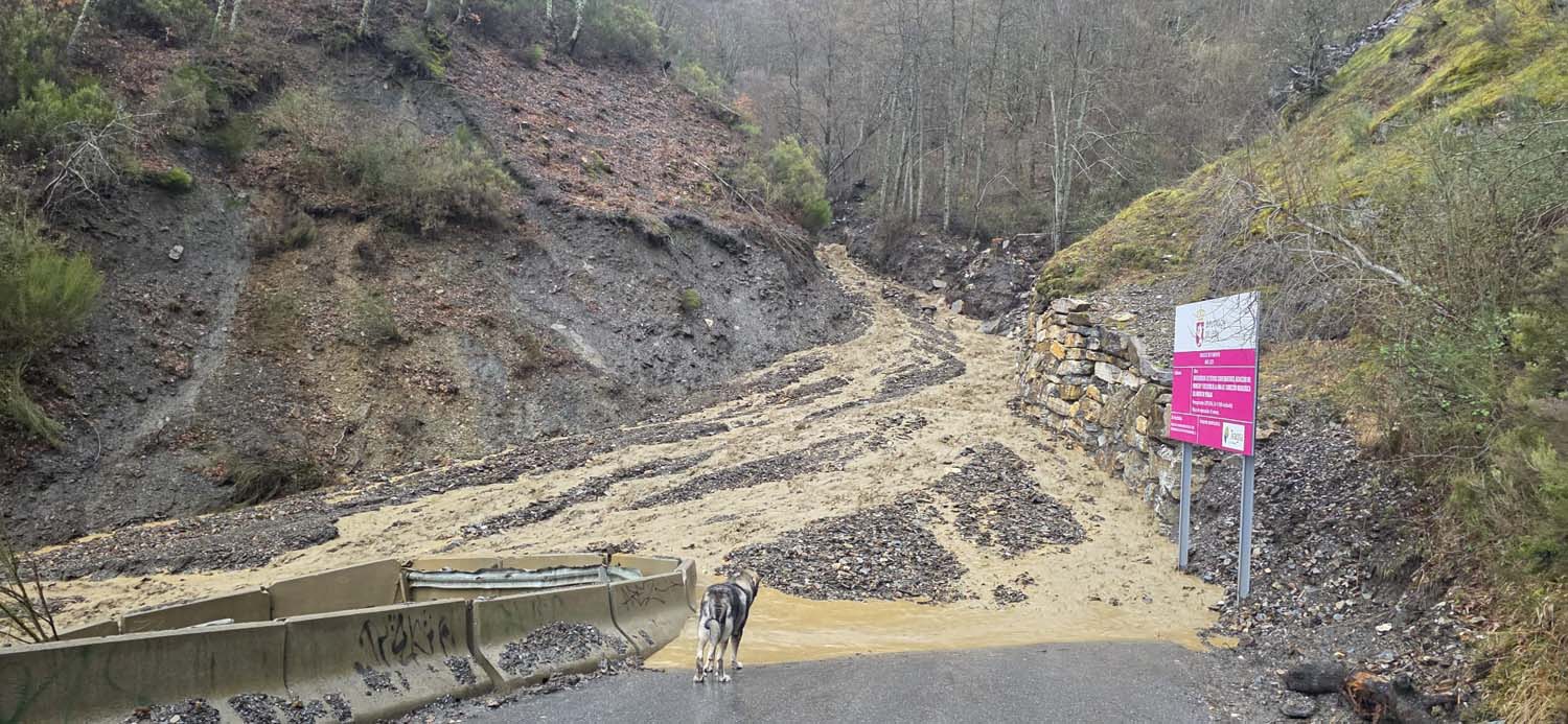 Carretera de acceso a Peñalba este miércoles (5)