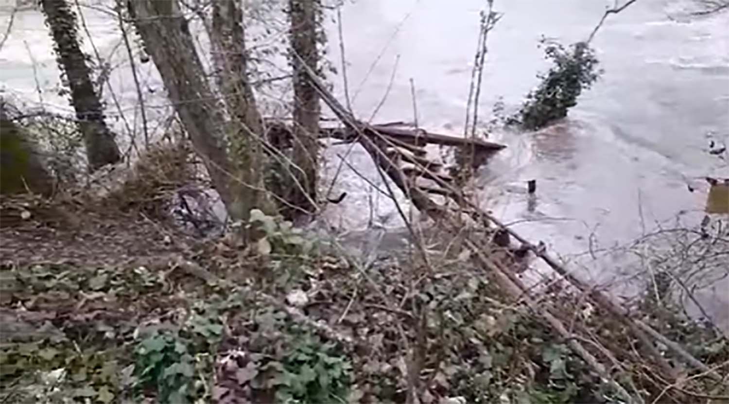Puente colgante de Villaverde de la Abadía