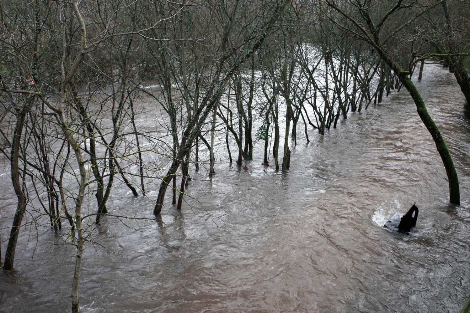 César Sánchez ICAL. Desbordamiento del río Sil a su paso por el paseo del parque de la Concordia de Ponferrada (1)