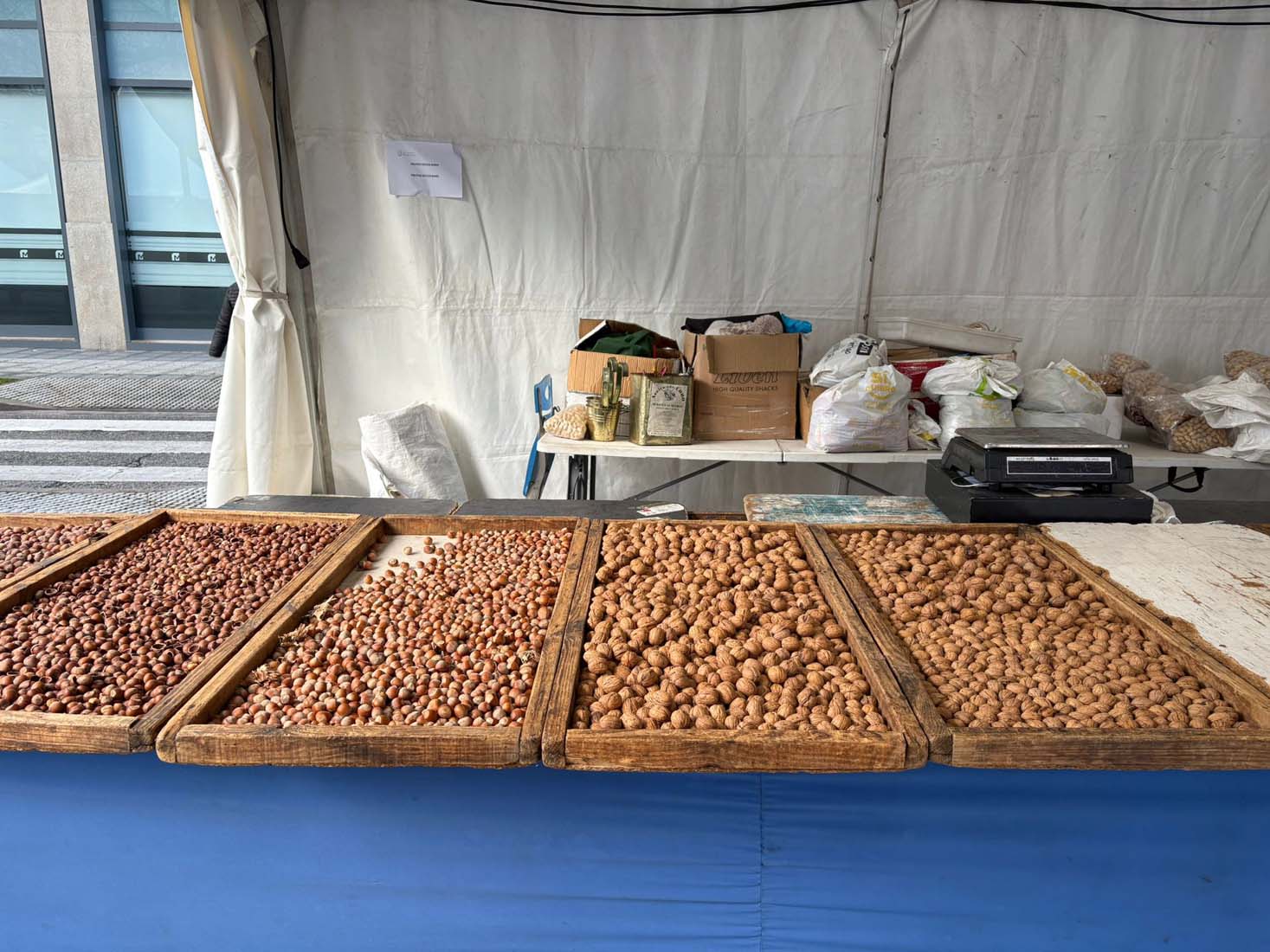 Apertura del Mercado de Invierno de Ponferrada (11)