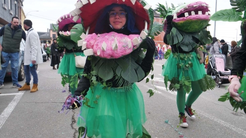 Carnaval de Camponaraya  (17)