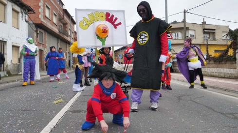 Carnaval de Camponaraya  (110)