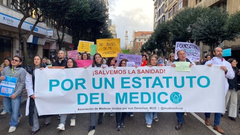 ICAL Manifestación contra el Estatuto Marco ICAL Manifestación contra el Estatuto Marco