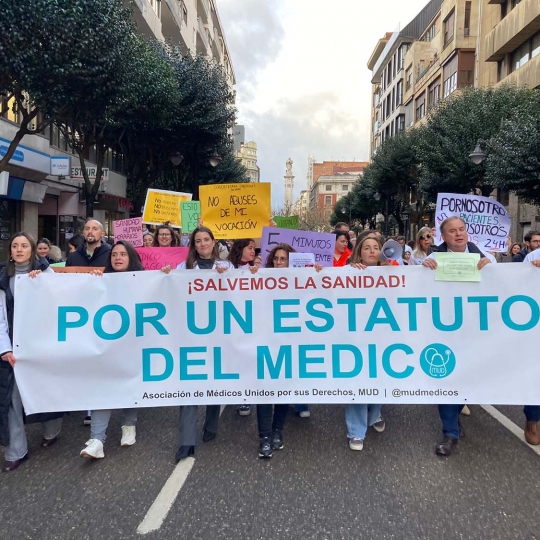 ICAL Manifestación contra el Estatuto Marco