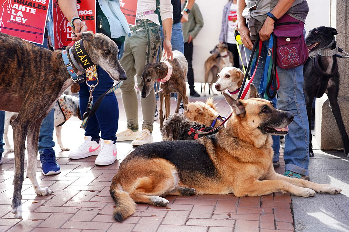 Concentración contra la exclusión de los perros de caza de la Ley de Protección Animal