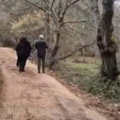 Reabiertas las visitas guiadas a Las Médulas Reabiertas las visitas guiadas a Las Médulas