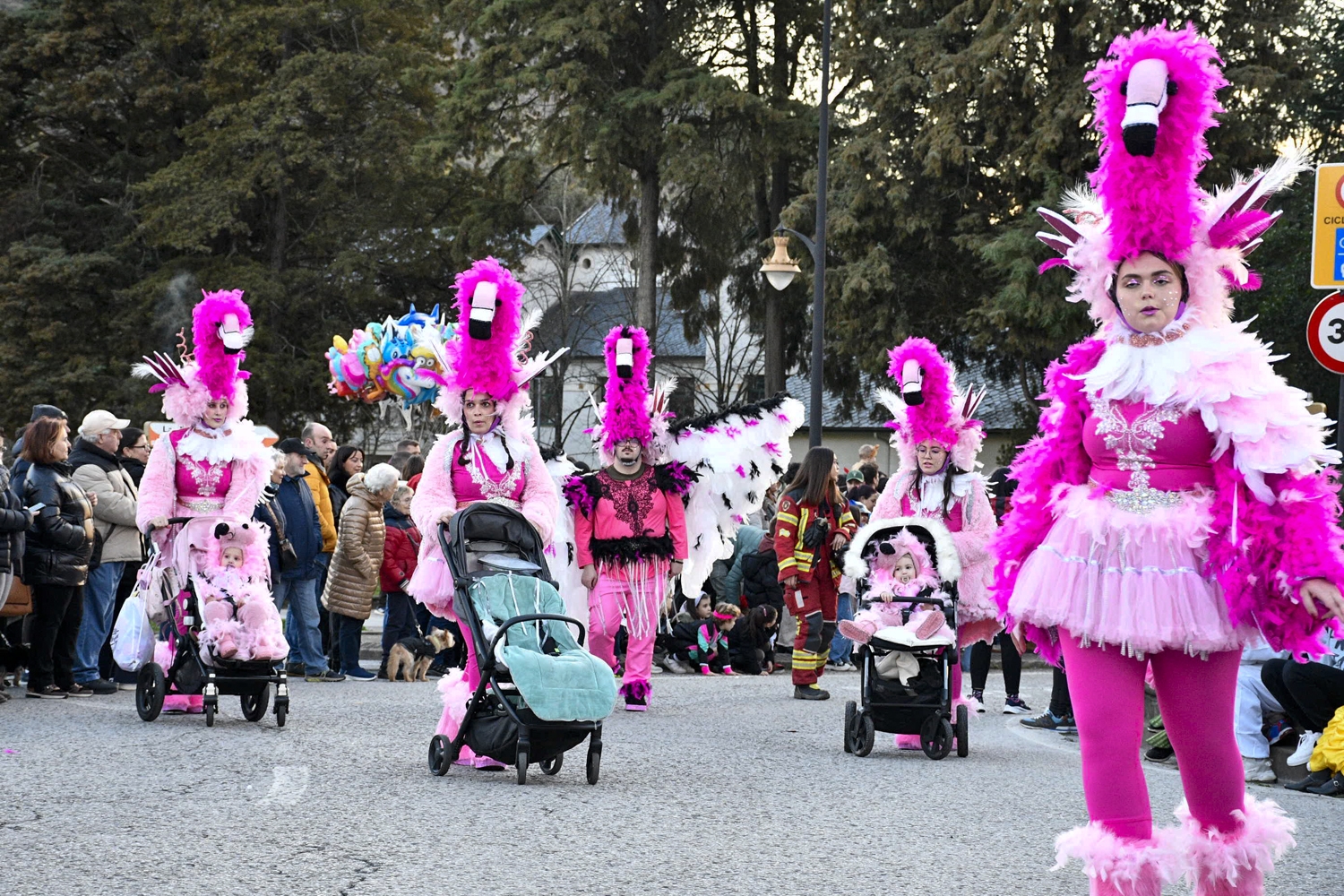 Carnaval de Ponferrada 2026 (109) Carnaval de Ponferrada 2026 (109)